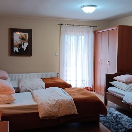 Apartment Medo Ravna Gora Exterior foto